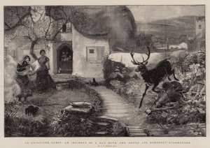 Een ongenode gast, een incident van een dag met Devon en Somerset Staghounds